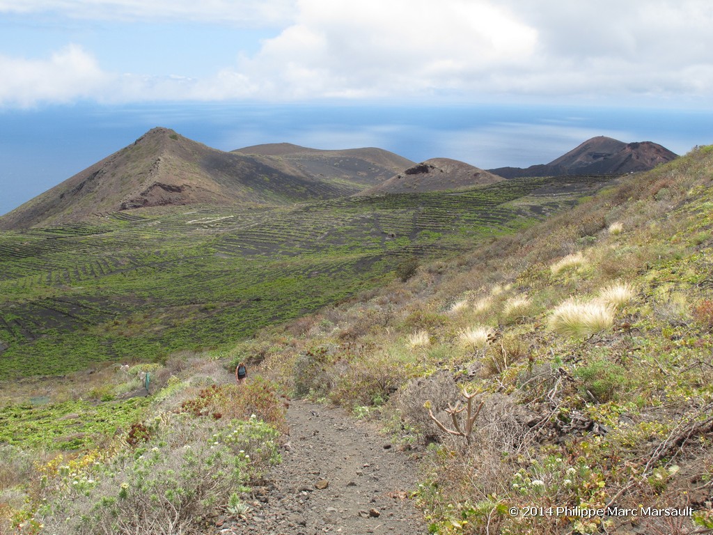 /ecran/Canaries_2014_0508.jpg