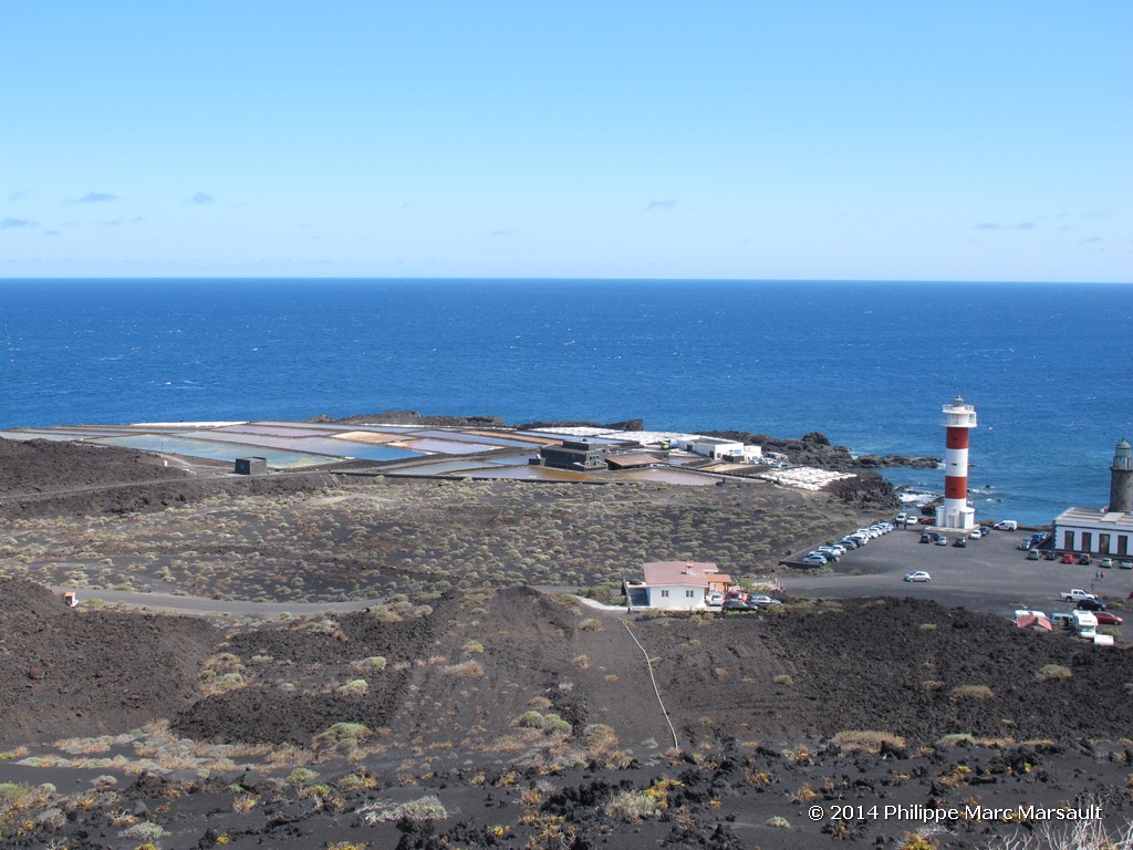 /ecran/Canaries_2014_0514.jpg