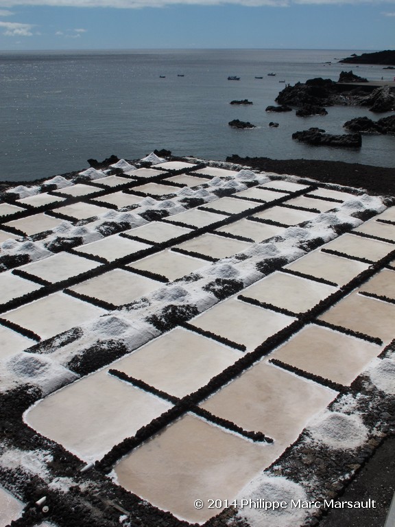 /ecran/Canaries_2014_0520.jpg