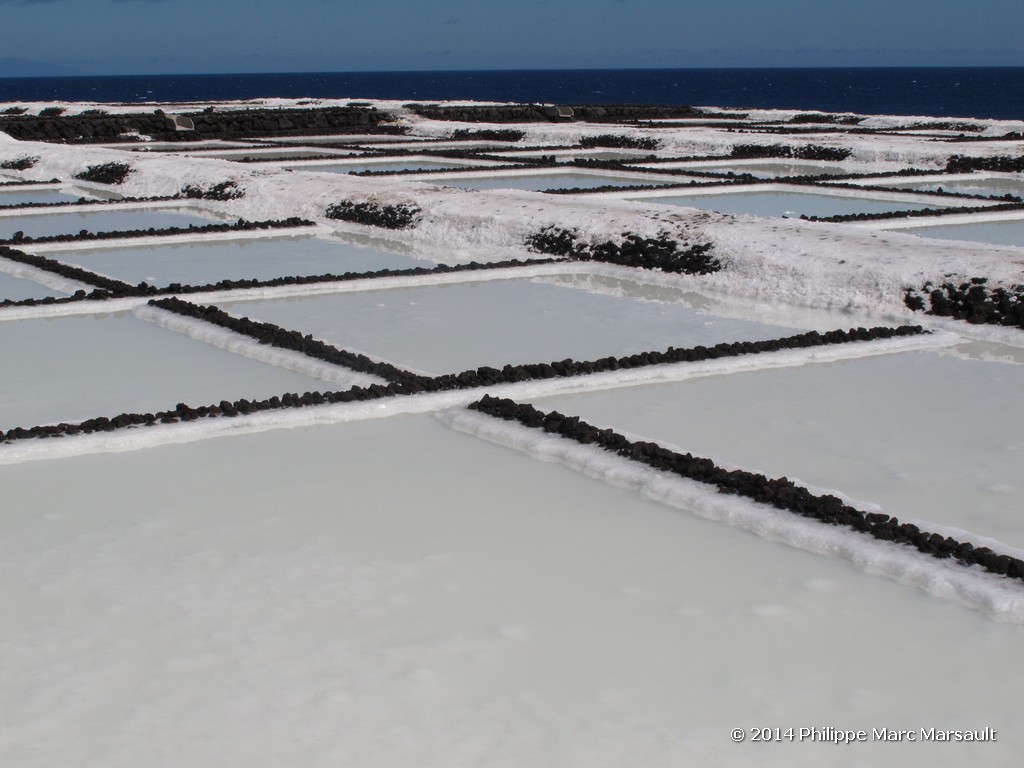 /ecran/Canaries_2014_0521.jpg