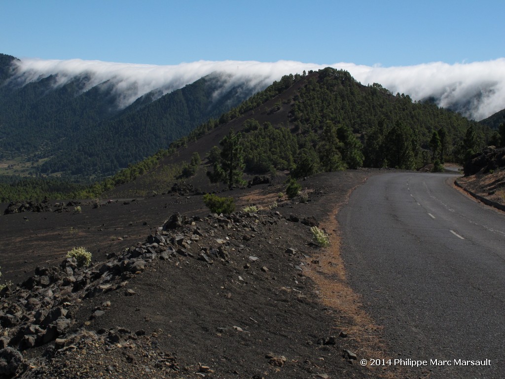 /ecran/Canaries_2014_0544.jpg