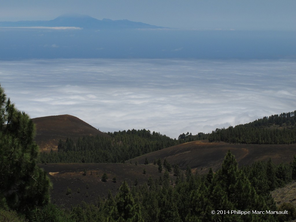 /ecran/Canaries_2014_0565.jpg