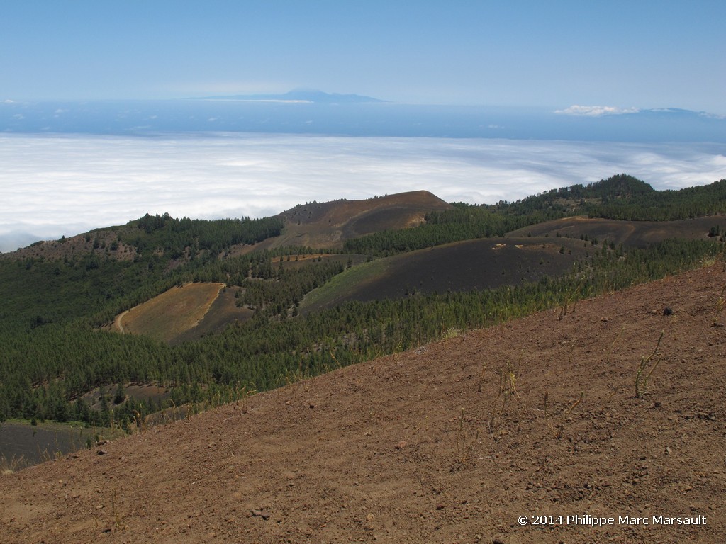 /ecran/Canaries_2014_0572.jpg