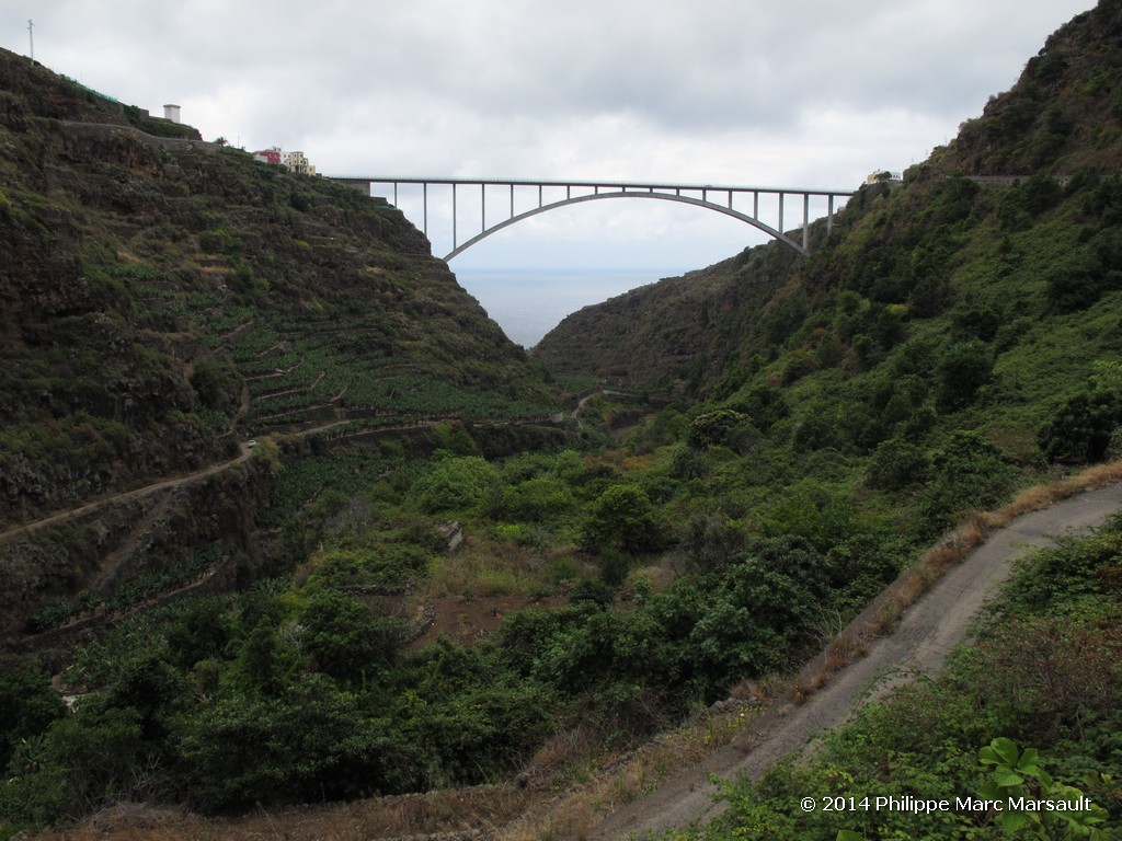 /ecran/Canaries_2014_0600.jpg