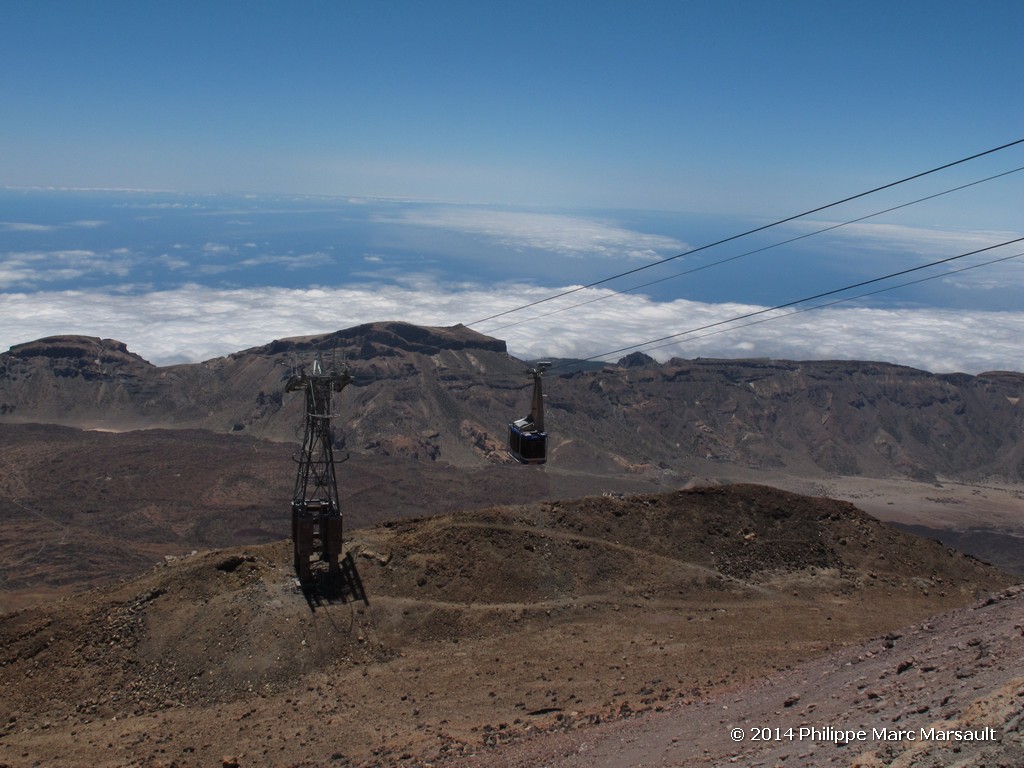 /ecran/Canaries_2014_0687.jpg