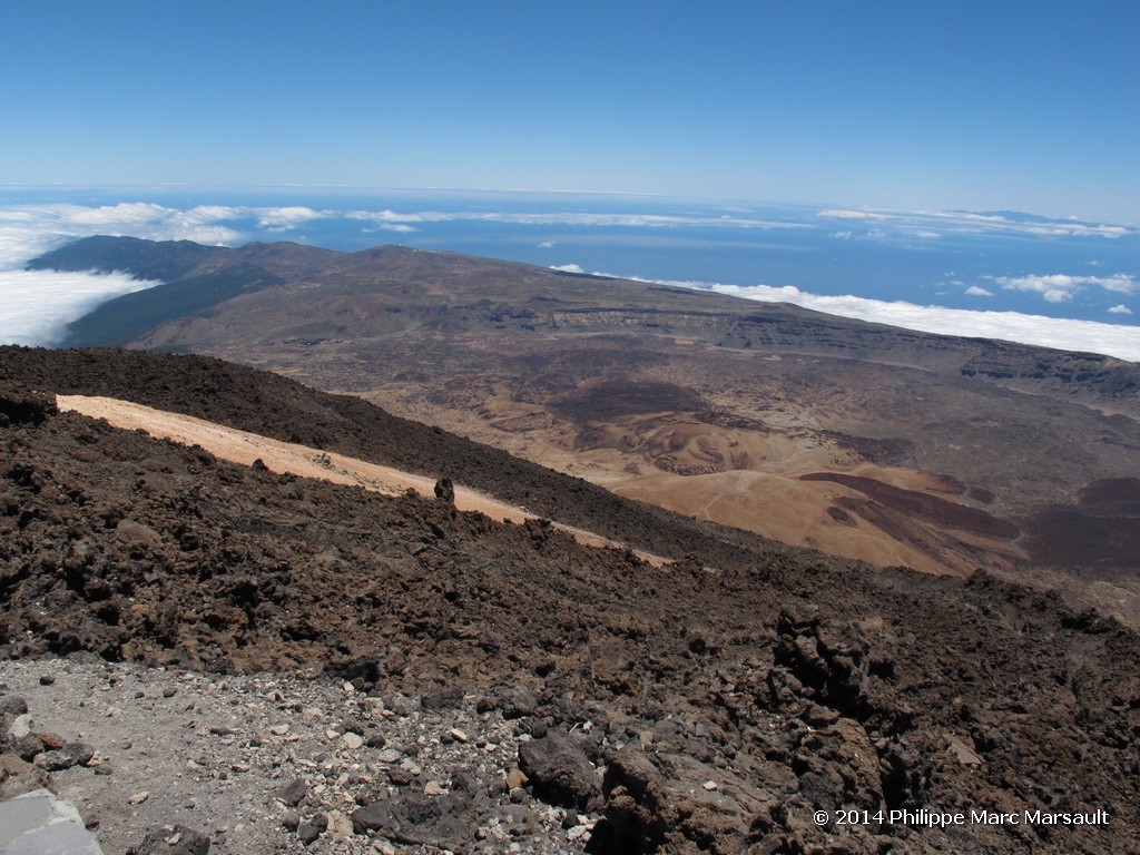 /ecran/Canaries_2014_0688.jpg