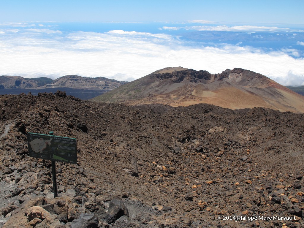 /ecran/Canaries_2014_0698.jpg