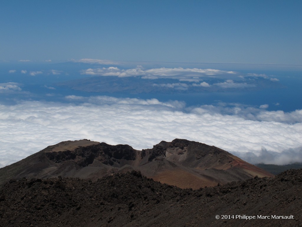 /ecran/Canaries_2014_0707.jpg