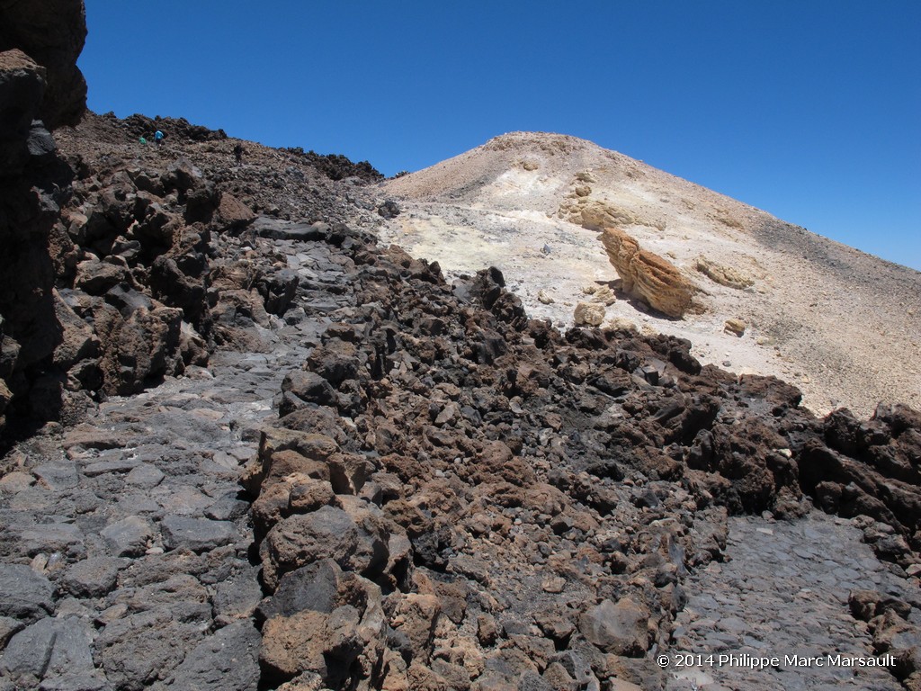 /ecran/Canaries_2014_0713.jpg