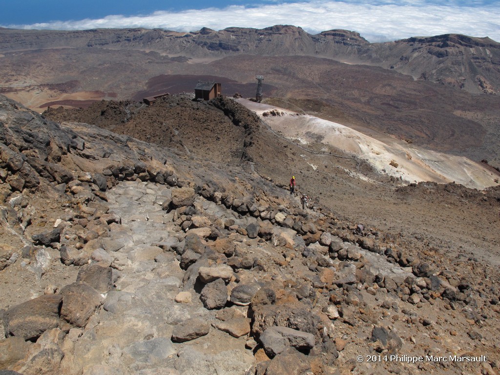 /ecran/Canaries_2014_0723.jpg