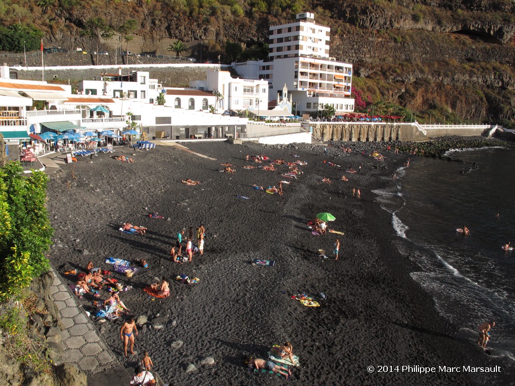 /ecran/Canaries_2014_0745.jpg