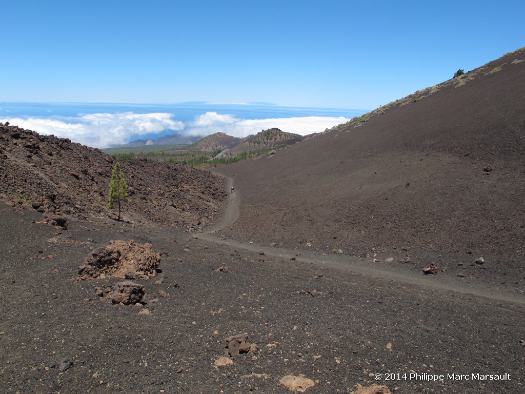 /ecran/Canaries_2014_0750.jpg