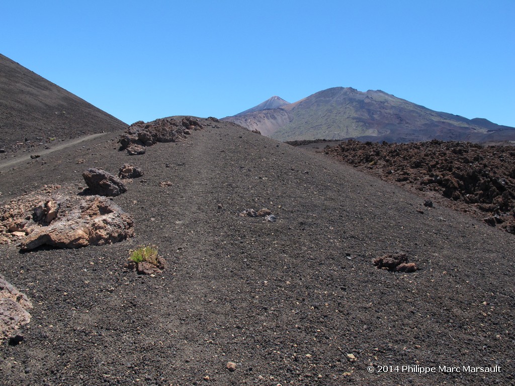 /ecran/Canaries_2014_0751.jpg