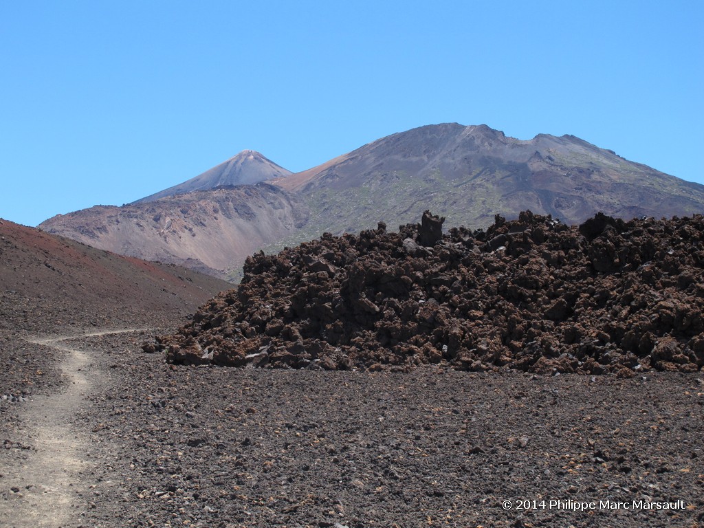 /ecran/Canaries_2014_0756.jpg