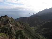 vignette Canaries_2014_0134.jpg 