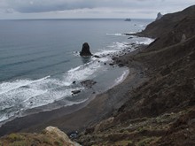 vignette Canaries_2014_0136.jpg 