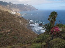 vignette Canaries_2014_0142.jpg 