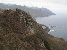 vignette Canaries_2014_0174.jpg 