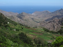 vignette Canaries_2014_0193.jpg 