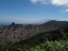 vignette Canaries_2014_0200.jpg 