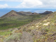 vignette Canaries_2014_0508.jpg 