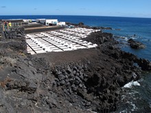 vignette Canaries_2014_0516.jpg 