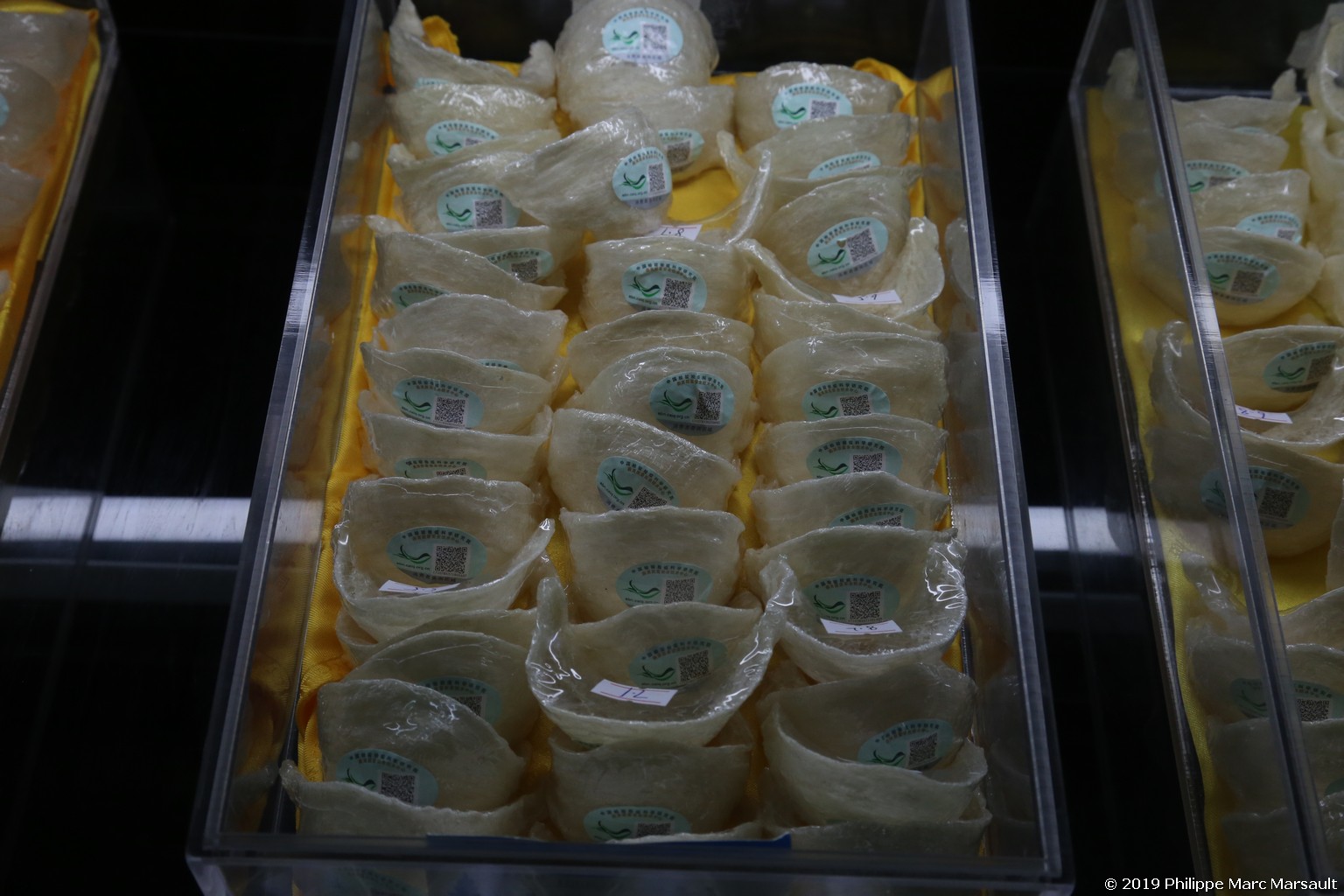 /ecran/Chine_Ph_2019_1148.jpg