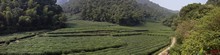 vignette Chine_Ph_2019_1083.jpg 