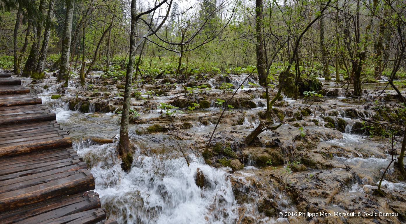 /ecran/Croatie_2016_0444.jpg