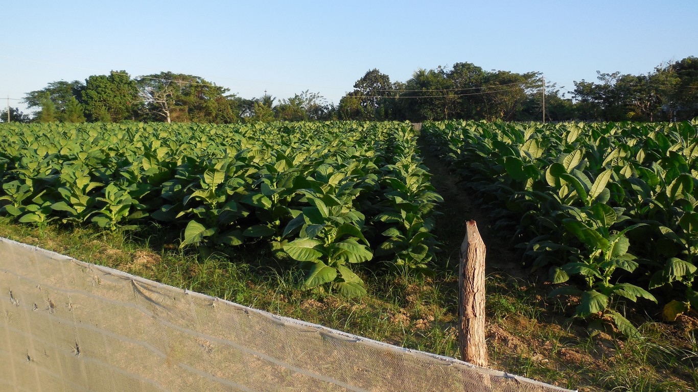 /ecran/Cuba_2013_0348.jpg