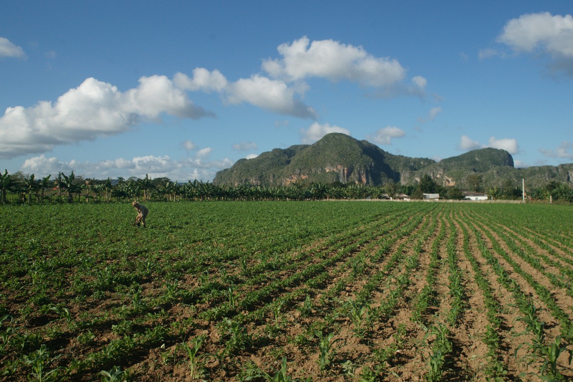 /ecran/Cuba_2013_0389.jpg