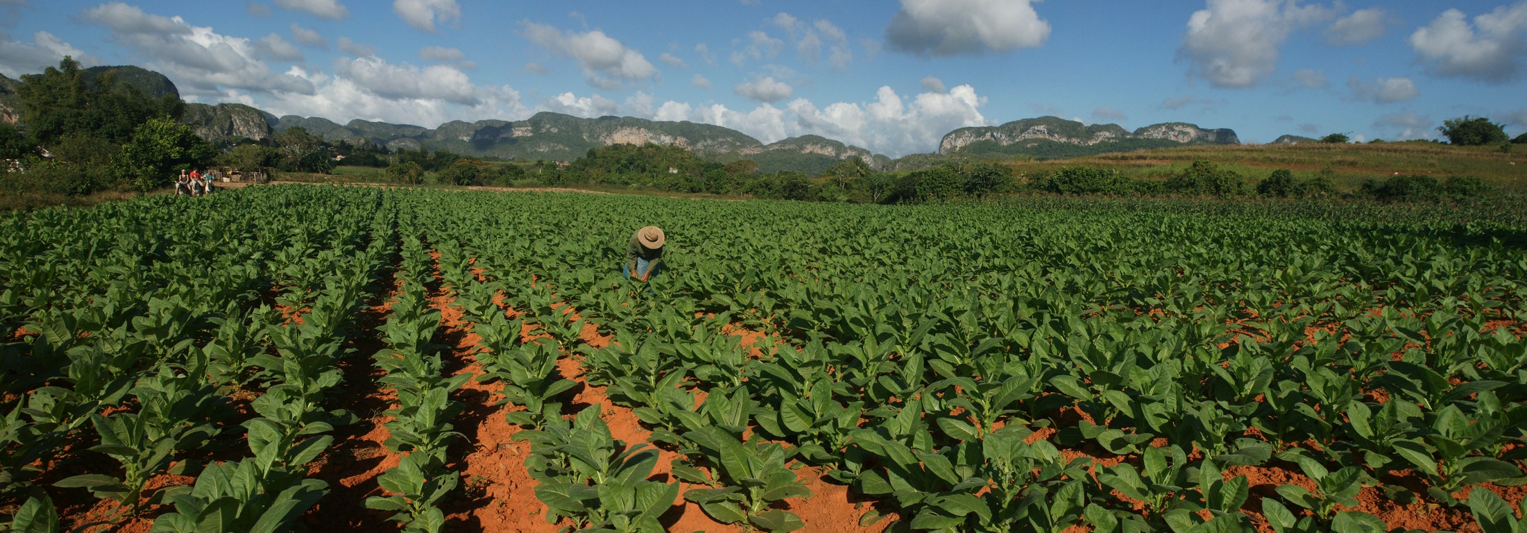 /ecran/Cuba_2013_0396.jpg