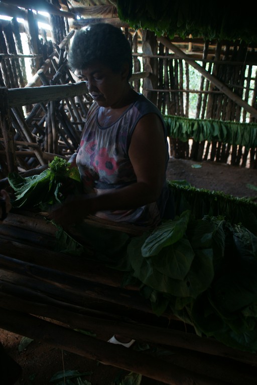 /ecran/Cuba_2013_0406.jpg