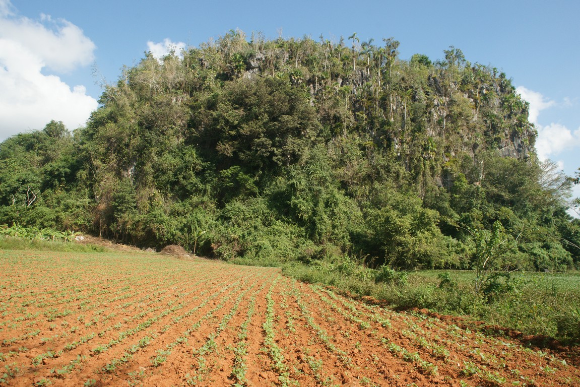 /ecran/Cuba_2013_0432.jpg