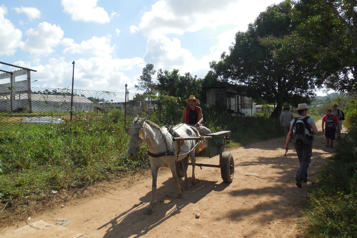 /ecran/Cuba_2013_0433.jpg