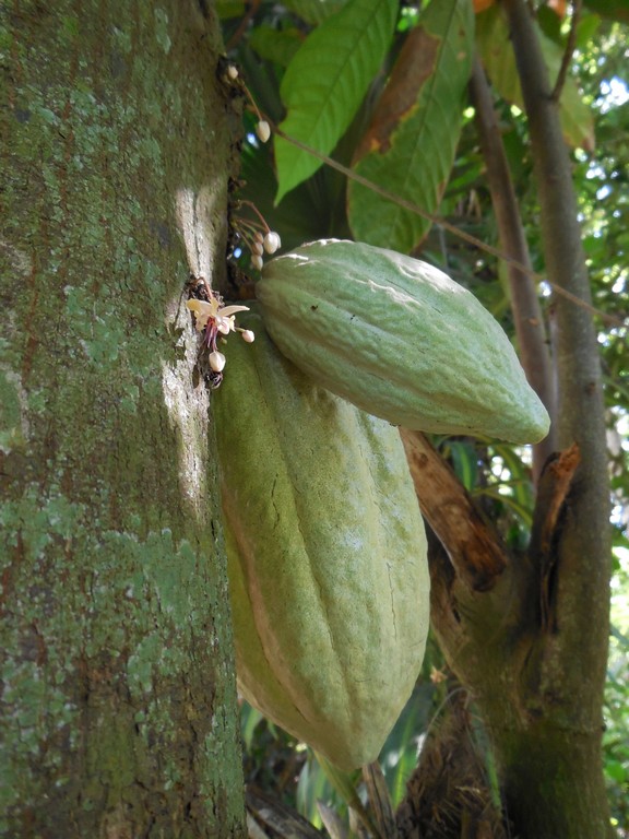 /ecran/Cuba_2013_0490.jpg