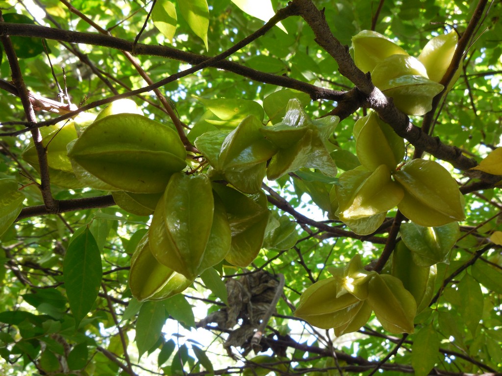 /ecran/Cuba_2013_0506.jpg