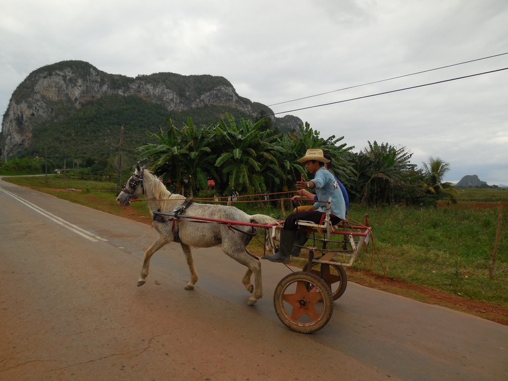 /ecran/Cuba_2013_0518.jpg