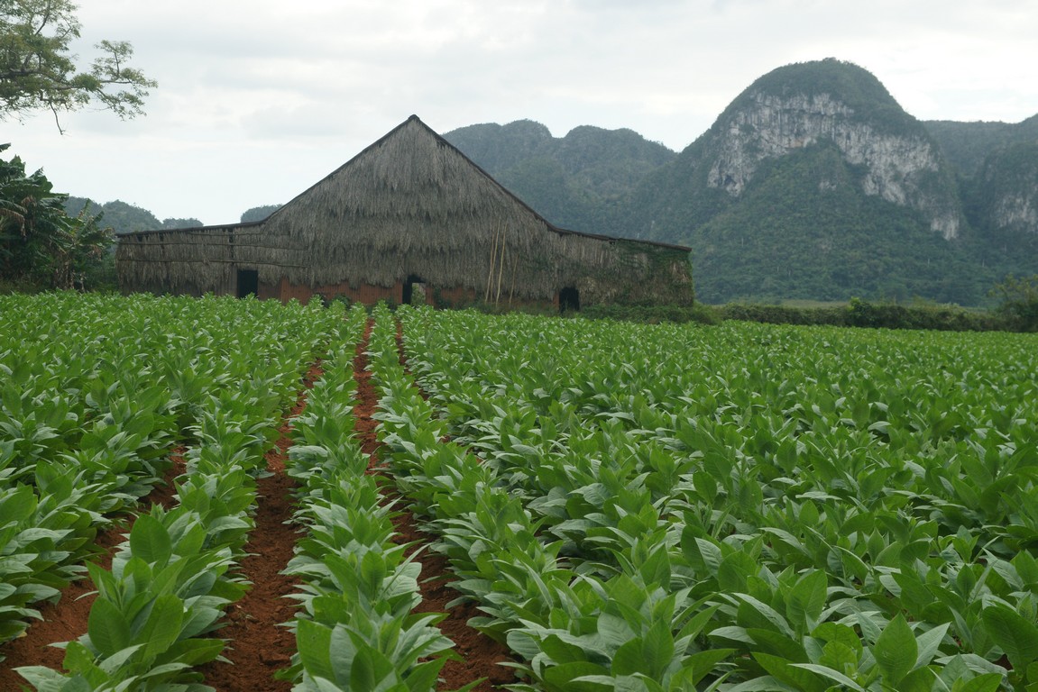 /ecran/Cuba_2013_0531.jpg