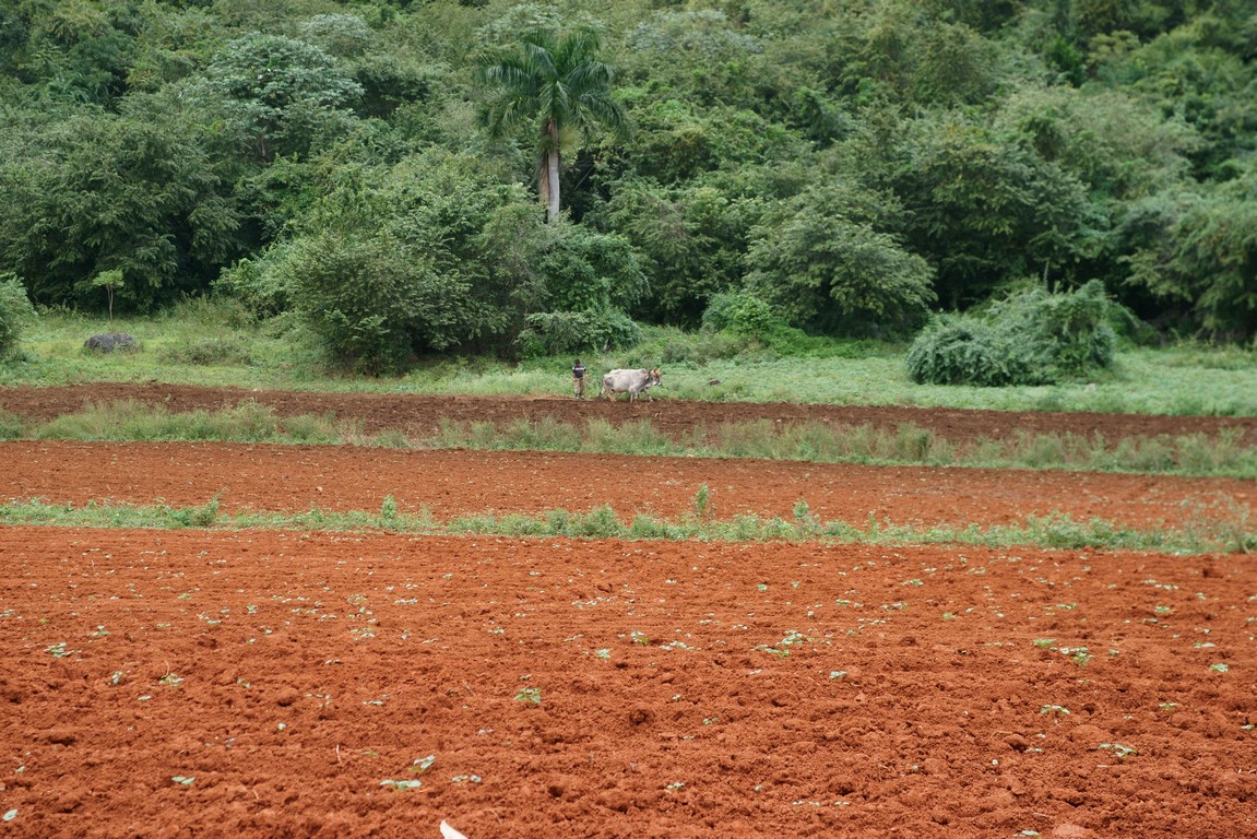 /ecran/Cuba_2013_0549.jpg