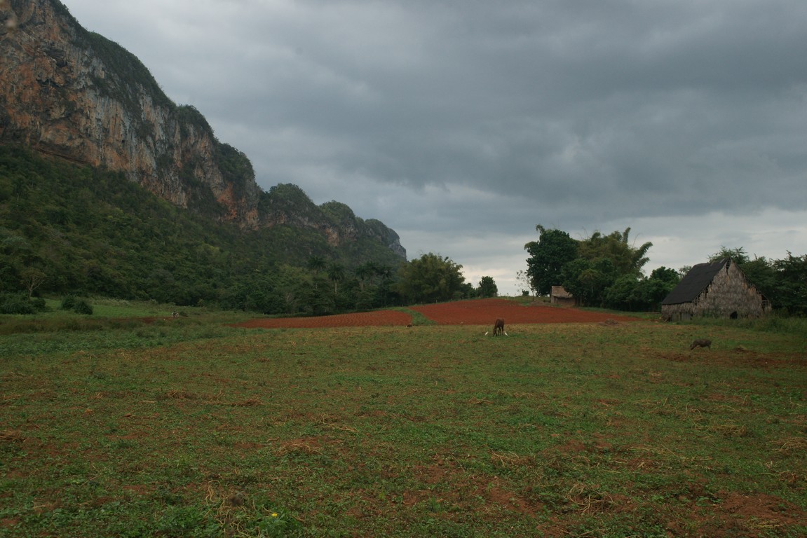 /ecran/Cuba_2013_0555.jpg