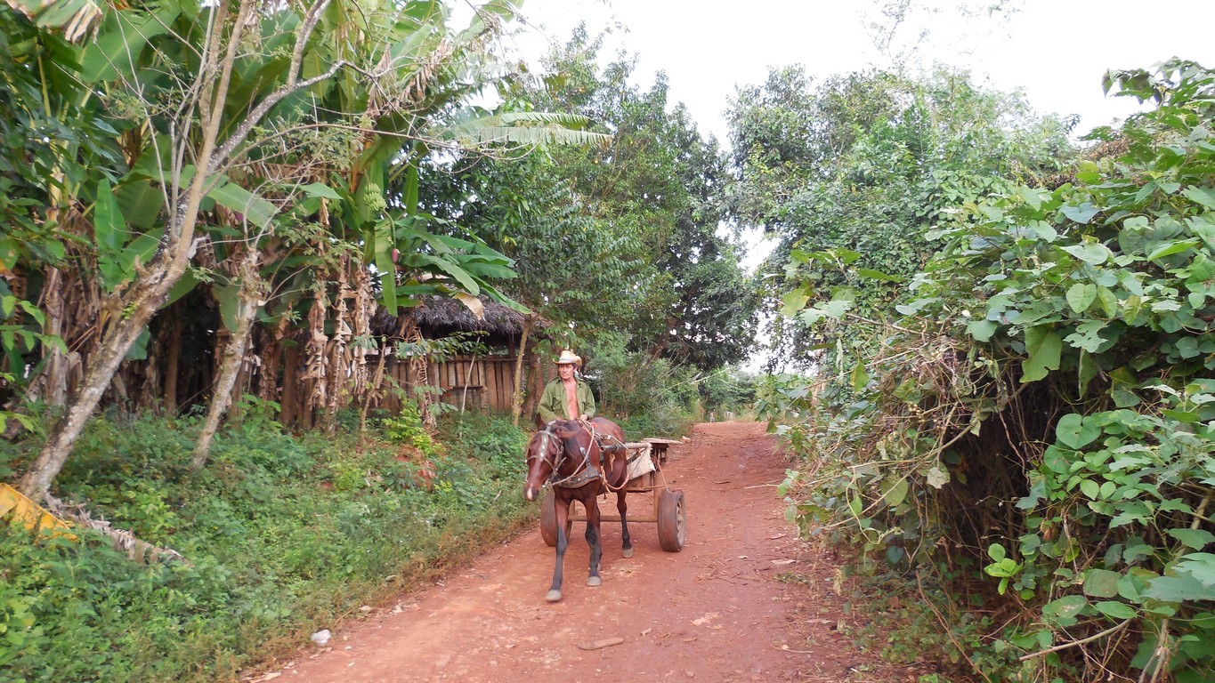 /ecran/Cuba_2013_0609.jpg