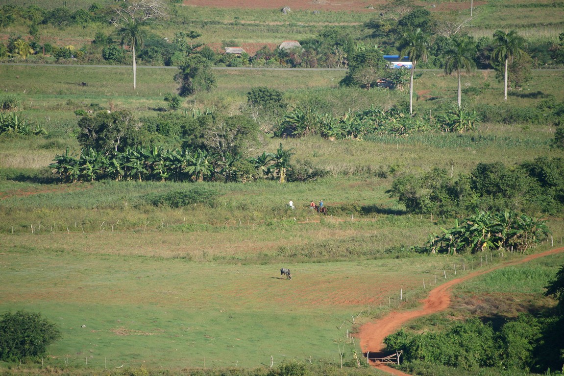 /ecran/Cuba_2013_0641.jpg