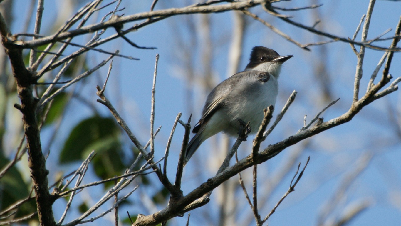 /ecran/Cuba_2013_0660.jpg