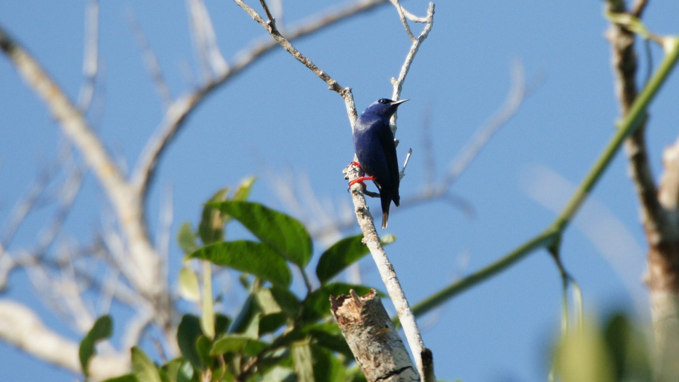 /ecran/Cuba_2013_0661.jpg