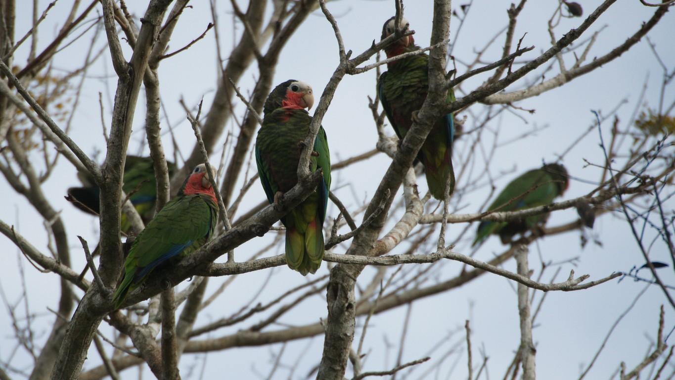 /ecran/Cuba_2013_0838.jpg