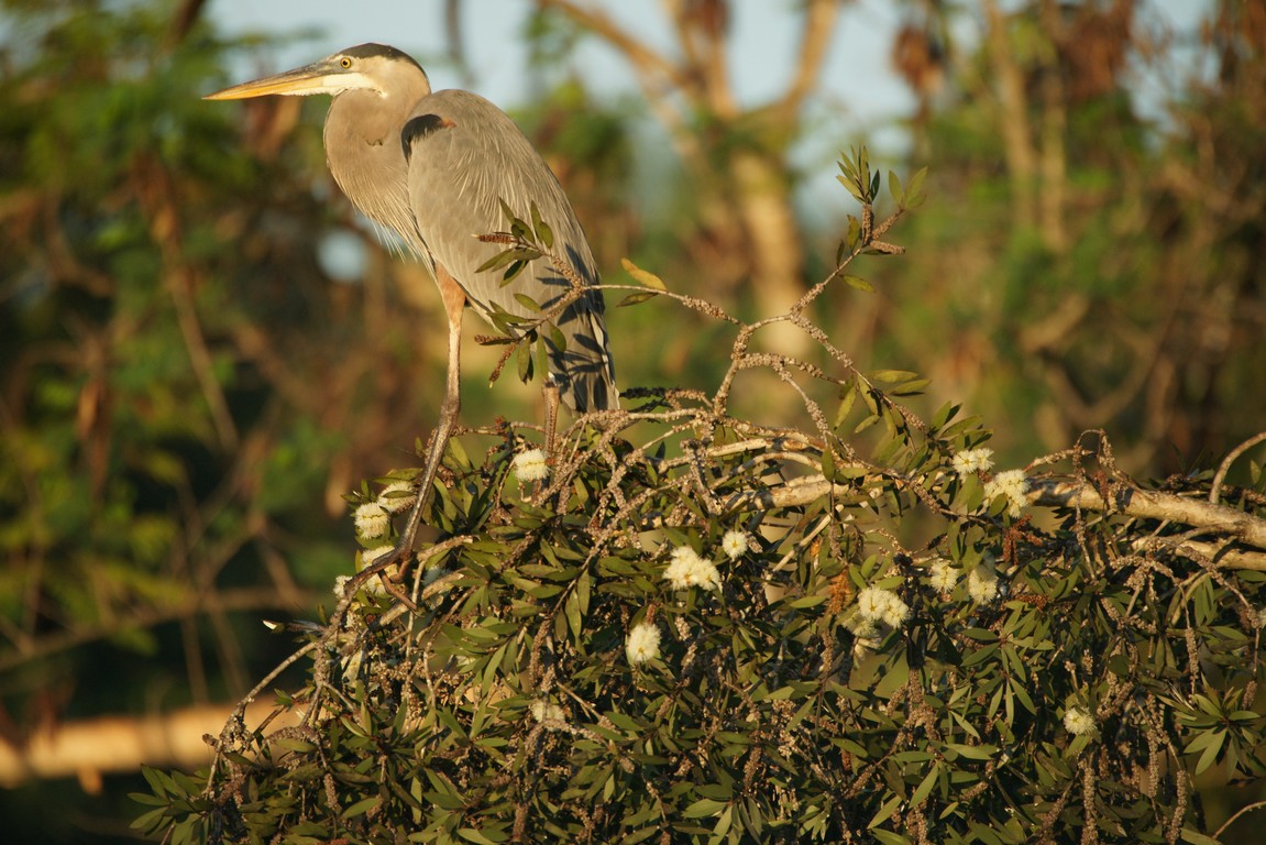 /ecran/Cuba_2013_0901.jpg