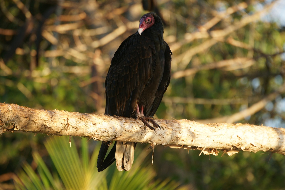 /ecran/Cuba_2013_0904.jpg