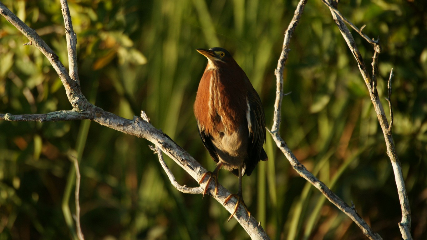 /ecran/Cuba_2013_0906.jpg