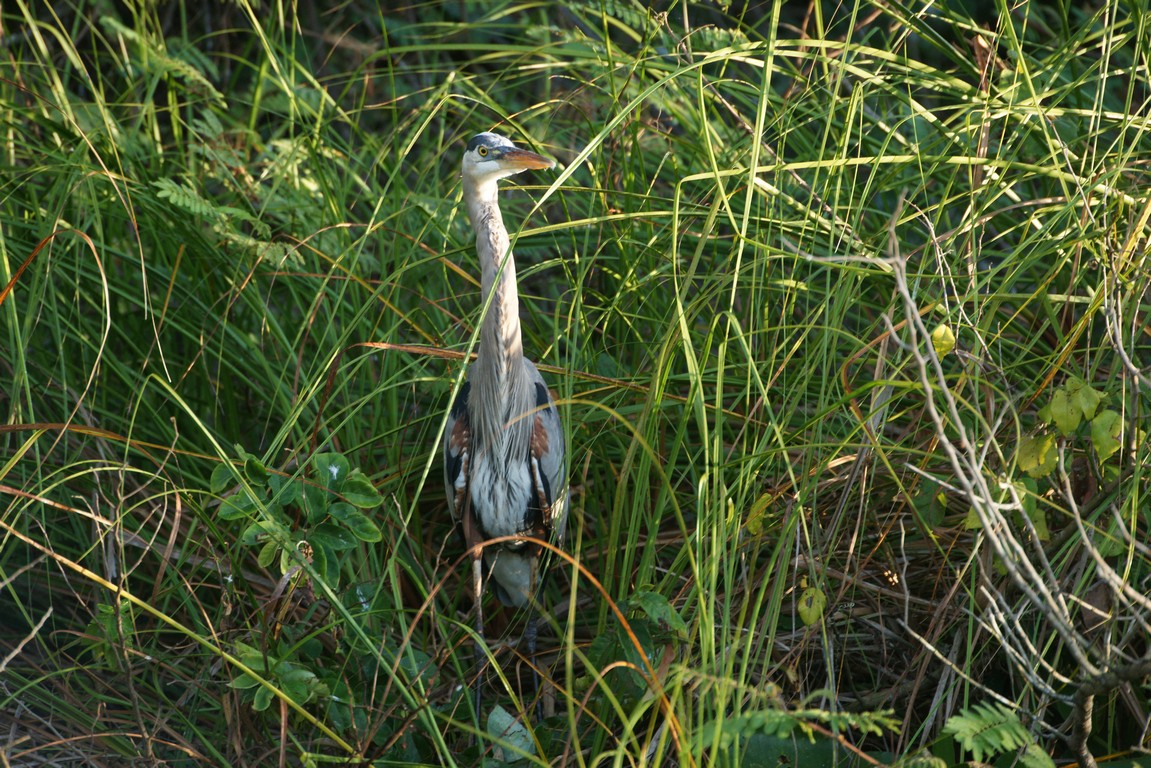 /ecran/Cuba_2013_0923.jpg